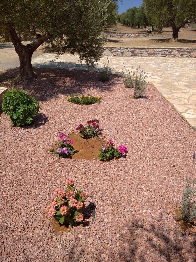 הוילה Kómboi Aggeliki House 5 מראה חיצוני תמונה